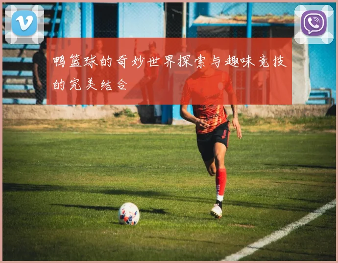 鸭篮球的奇妙世界探索与趣味竞技的完美结合