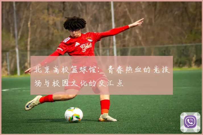 北京高校篮球馆：青春热血的竞技场与校园文化的交汇点