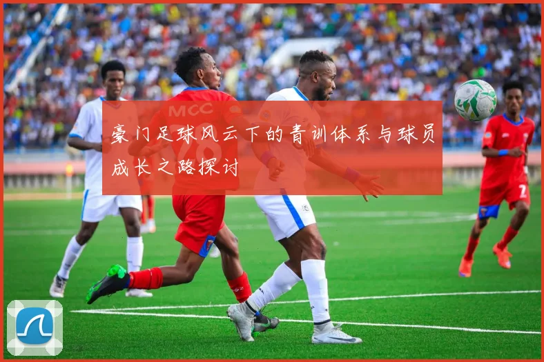 豪门足球风云下的青训体系与球员成长之路探讨