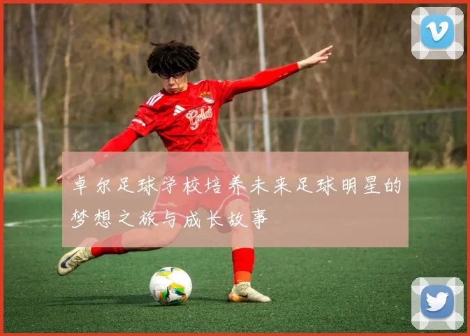 卓尔足球学校培养未来足球明星的梦想之旅与成长故事