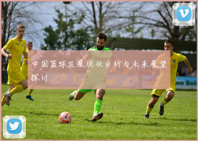 中国篮球发展现状分析与未来展望探讨